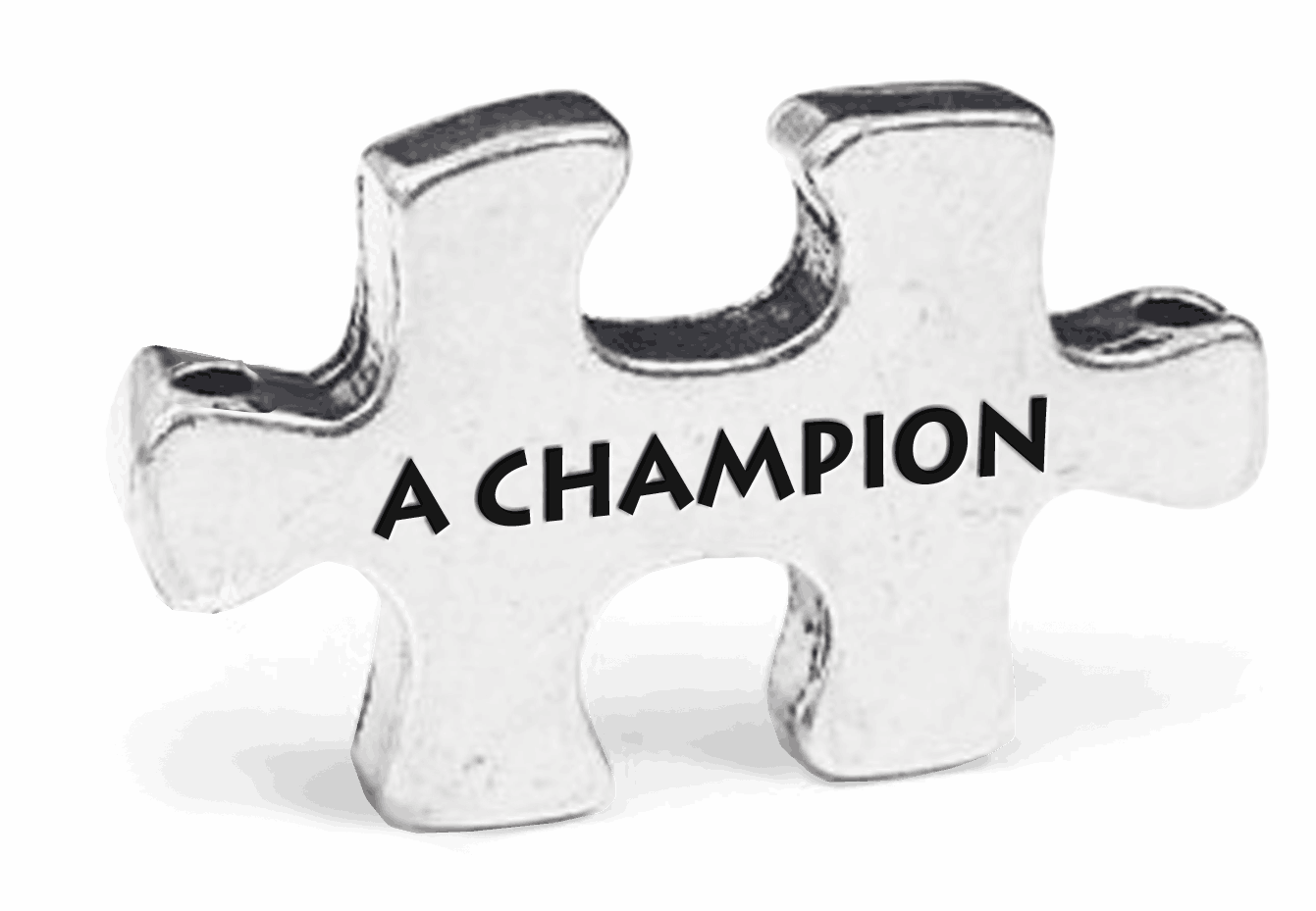 Champion Puzzle Token on Key Loop
