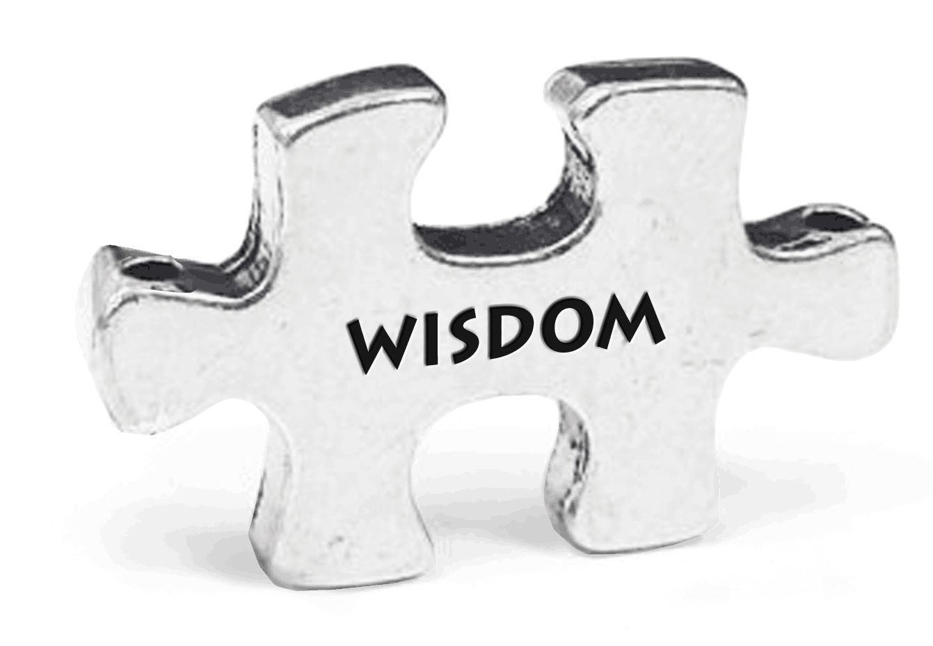 Wisdom Puzzle Token on Key Loop